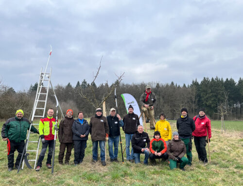 Streuobstpflege von Fachwart zu Fachwart – 15.03.2025