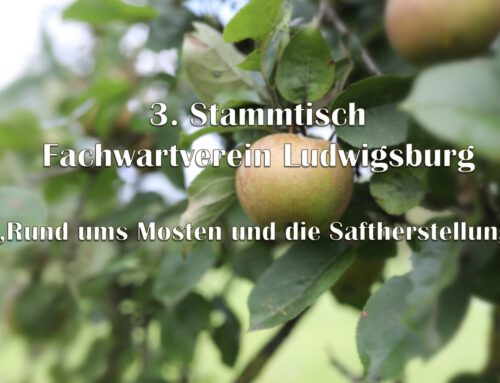 3. Stammtisch Fachwartverein Ludwigsburg 04.07.2024