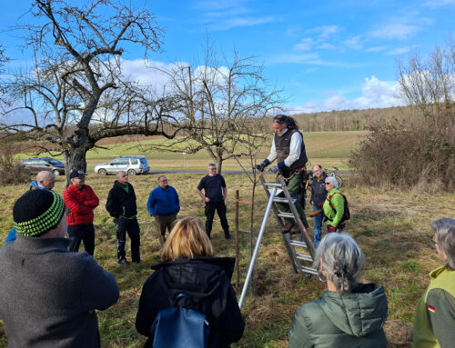 Winterschnittkurs ASS 07.02.2026